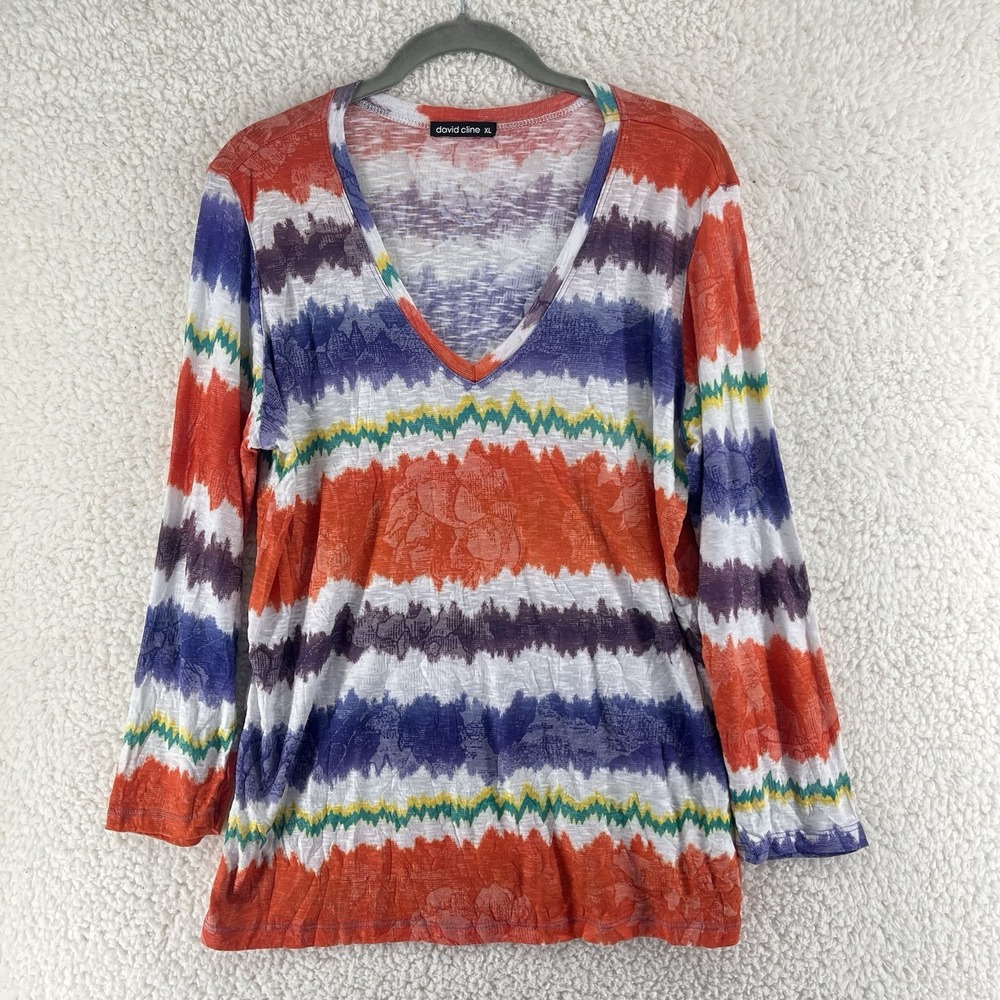 David Cline Multicolored Floral Stripe Tunic Top Women's XL Long Sleeve Light